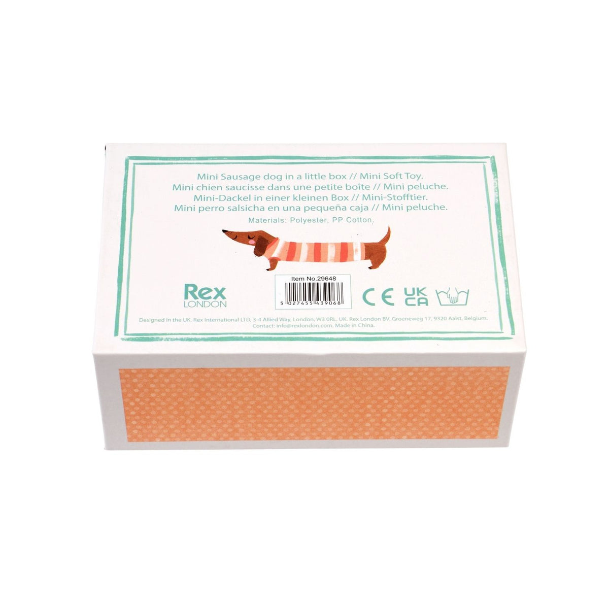 Box with a sausage dog illustration and &#39;Rex&#39; branding on a white background