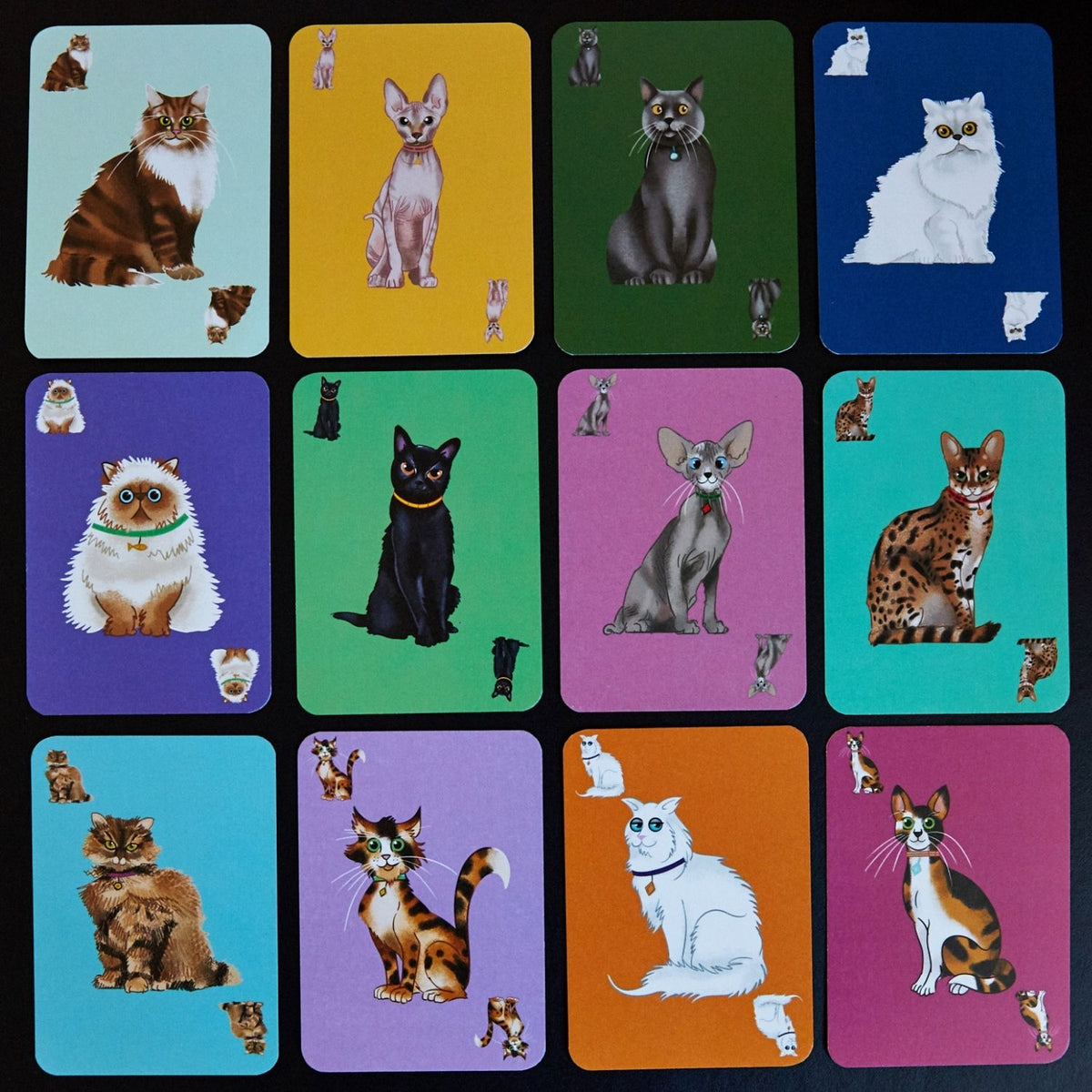Grid of cards featuring illustrations of cats on colorful backgrounds