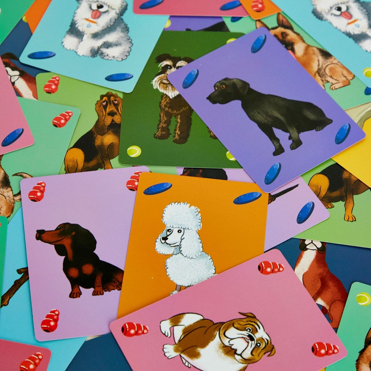 Colorful cards with images of dogs on a multicolored background