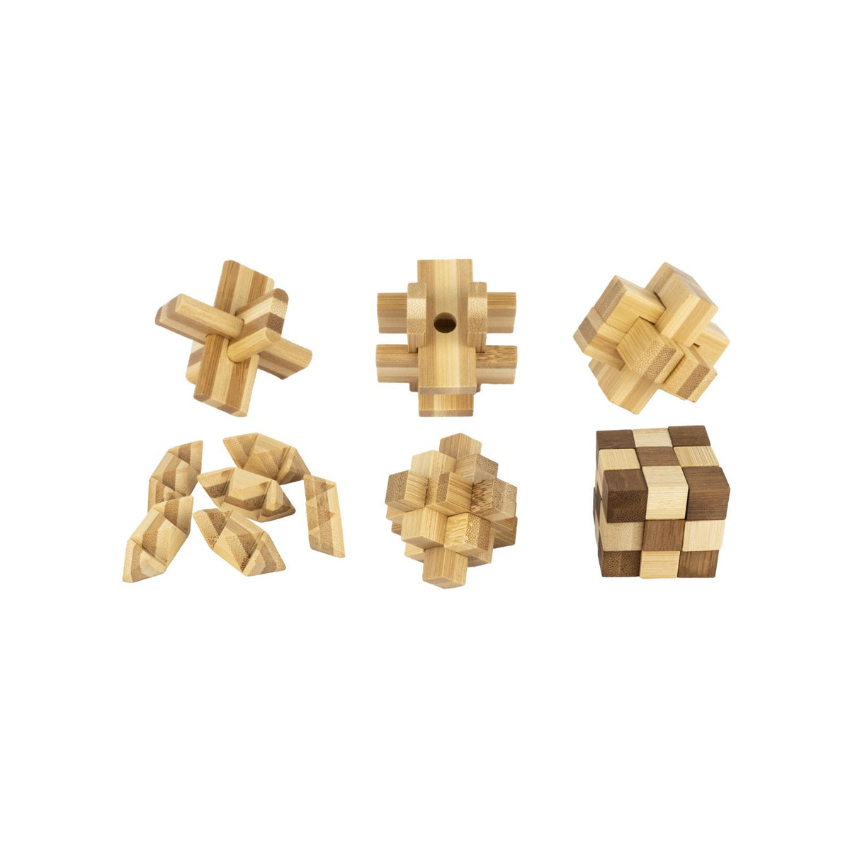 Ecological Brainteasers - 6 pack