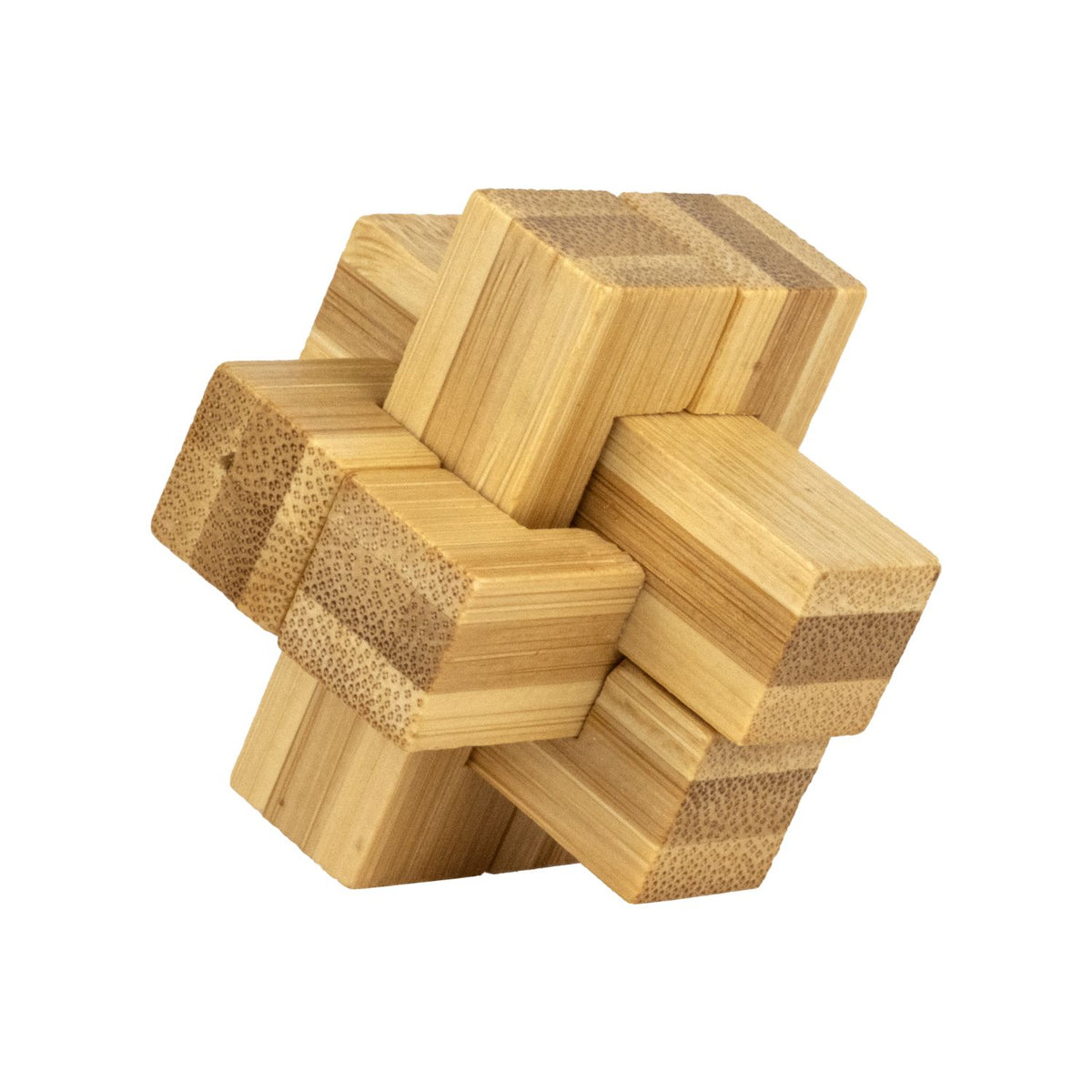 Ecological Brainteasers - 6 pack