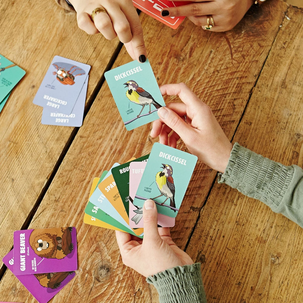 Hands holding bird-themed cards on a wooden table