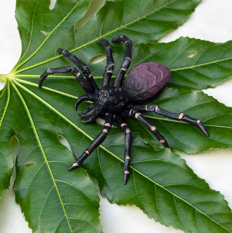 Realistic black spider toy on green leaves