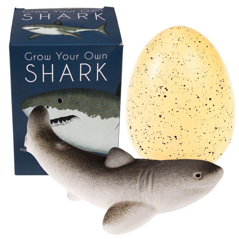 A product image featuring a shark hatching egg kit. The image shows a large, speckled egg with a shark figurine beside it, and a box with a shark image in the background.