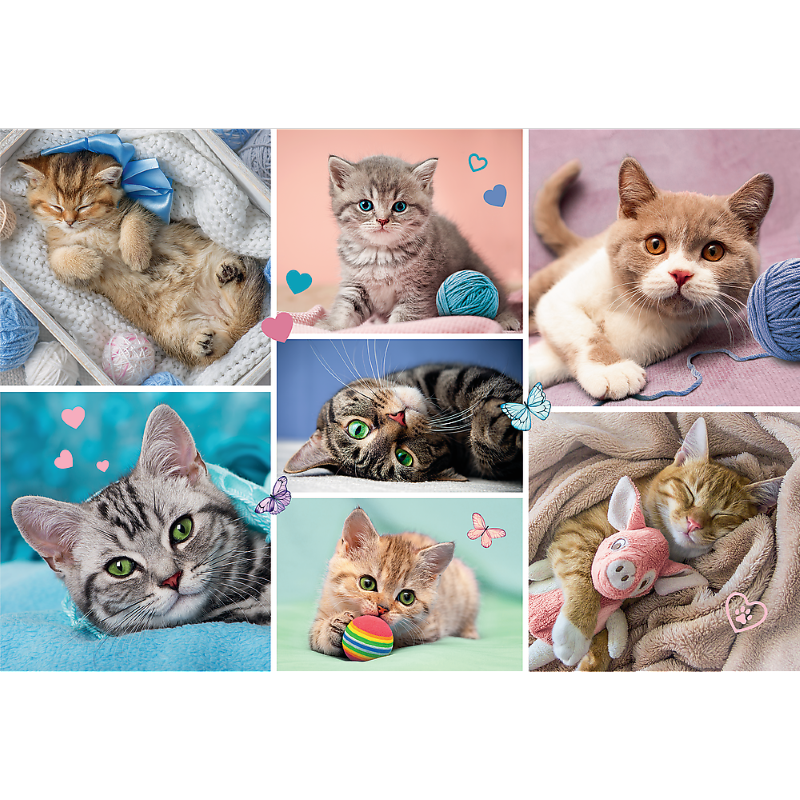 Trefl &quot;100&quot; - In the cat world
