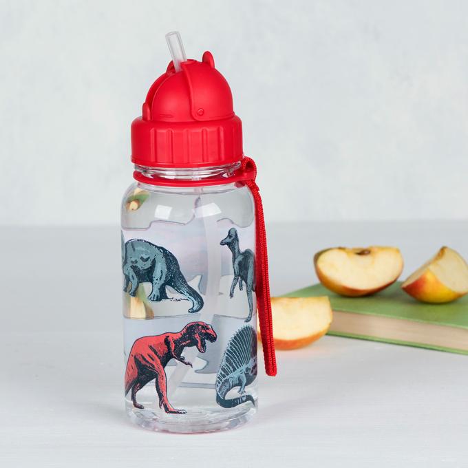 Prehistoric Land Kids Water Bottle 500ml